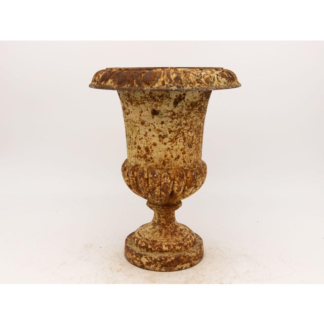 This cast iron urn is a beautiful example of French early 20th-century design. It has a timeless quality that makes it a...