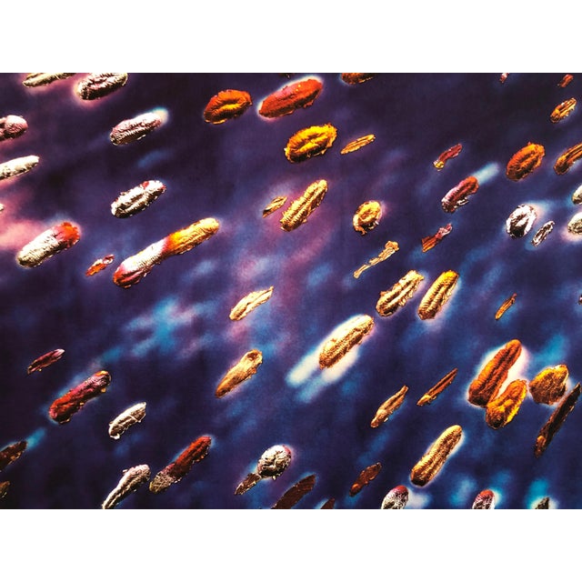 These are from the 1990s printed at Muse X and never framed. they are unsigned and unnumbered but from a very small...
