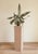 Mediterranean Greta Pedestal, Raffia For Sale - Image 3 of 4