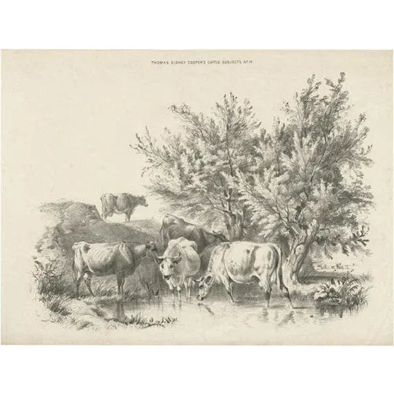 Thomas Sidney Cooper, Cattle, 1839, Print For Sale - Image 6 of 6