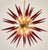 Sputnik Pendant Light with 51 Amethyst Murano Glass Tips from Justfurnituress SRL For Sale - Image 6 of 10