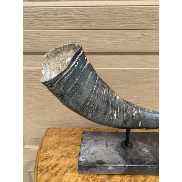Vintage Faux Ram Horns on Black Marble Stands, Pair For Sale - Image 9 of 15