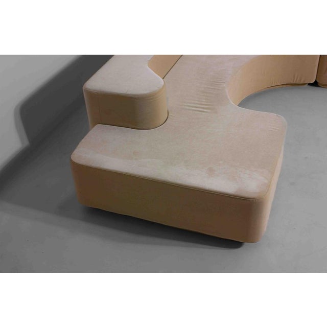 Set of Lara Sofa in Beige Velvet by Roberto Pamio for Stilwood, Italy, 1958 For Sale - Image 10 of 11