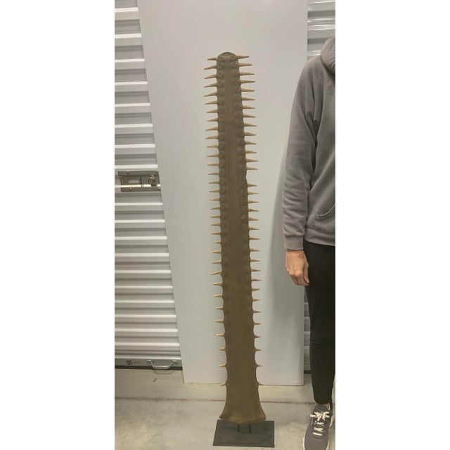Set of 2 Faux Sawfish Bill Rostrums on Metal Stands, 1980s For Sale - Image 9 of 11
