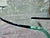 Glass Glass Coffee Table from Fiam, 1980s For Sale - Image 7 of 11