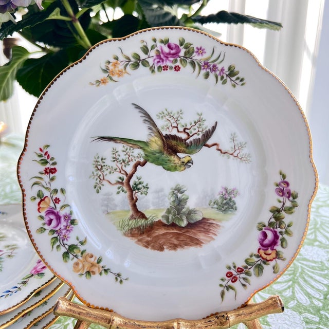 These six Sevres places are absolutely beautiful artworks that feature a collection of birds in the center of each with a...