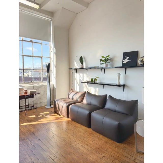 Mid-Century Modern 1970s Vintage Le Bambole Lounge Chair, Design Mario Bellini for B&b Italia, Newly Upholstered For Sale - Image 3 of 12