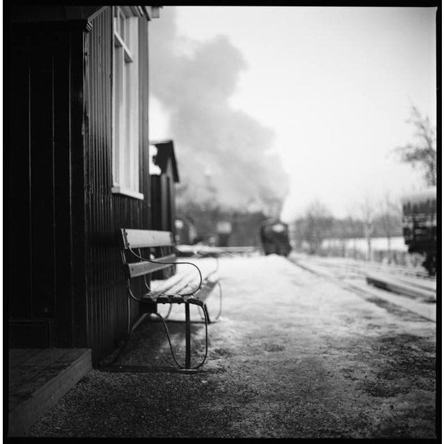 Paul Cooklin, Bench, Photograph For Sale - Image 4 of 4