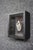 Late 20th Century Framed Eastern Goliath Beetle Specimen in Glass Shadow Box For Sale - Image 5 of 7
