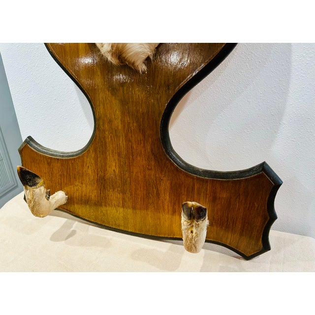Vintage Deer Mount With Hoof Rack For Sale In Dallas - Image 6 of 9