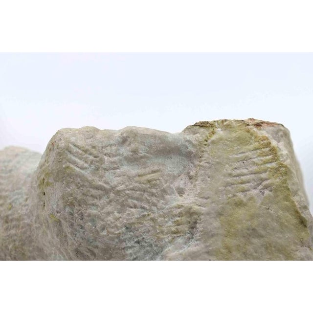 1960s Sirio Pellegrini, Head Sculpture, 1960s, Stone For Sale - Image 5 of 6