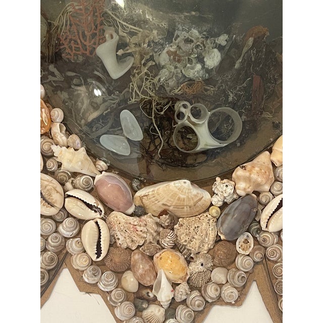 British Colonial Sea Shell Oval Sailors Valentines For Sale - Image 4 of 6