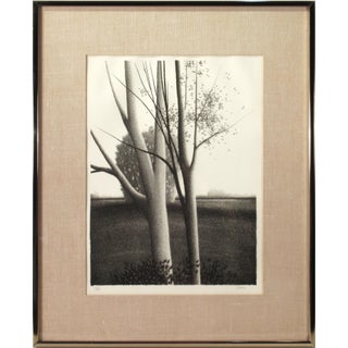 Robert Kipniss, Landscape with Trees, Circa 1980 For Sale
