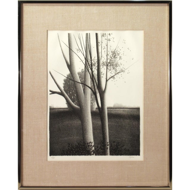 Robert Kipniss, Landscape with Trees, Circa 1980 For Sale