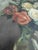 Paint Early 20th Century Impressionist Painting Still Life of Roses Signed by Artist Jeanette Slager (1881-1945) For Sale - Image 7 of 8
