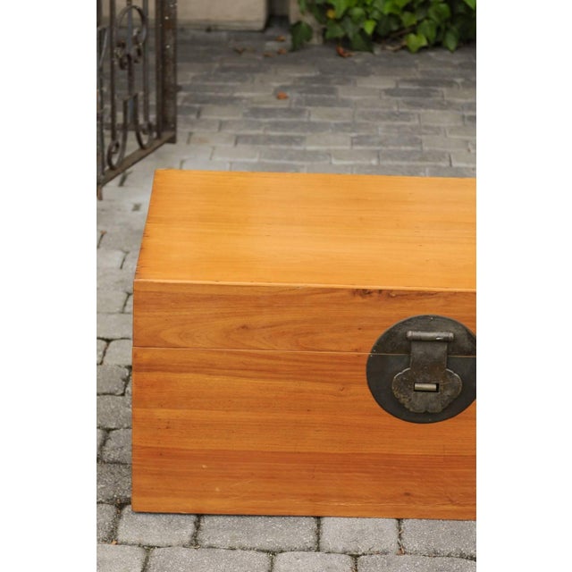 Wood 1920s Asian Camphor Wood Box with Traditional Lockset and Lateral Handles For Sale - Image 7 of 12