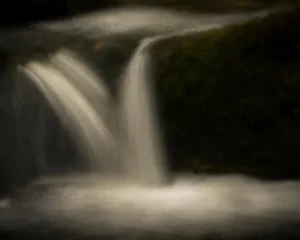 Pool 1 by Robert Canis Print, 20" x 25"