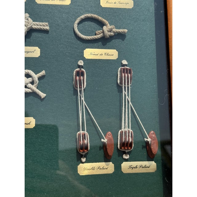 Diorama Frame of Boats and Knots For Sale - Image 9 of 18