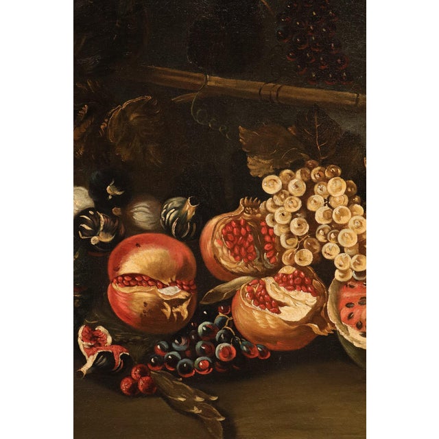 Baroque Michele Pace, Detto Michelangelo Del Campidoglio, Cerchia Di, Still Life with Fruit Peace, 1680, Oil on Canvas For Sale - Image 3 of 15