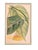 Fantastic 19th century trio of botanical prints, originally published in Curtis's Botanical Magazine in 1850 and 1865,...