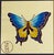 Hand-crafted Korean Style silk embroidery on silk featuring an exquisitely detailed butterfly rendered in captivating,...