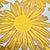 Outdoors and Indoors Contemporary Bright Flower Yellow Square Pillows. By Arlene Angard, Set of 2 For Sale - Image 4 of 10
