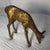 Vintage Mid-Century Solid Brass Grazing Deer/Fawn Figurine With Intricate Details For Sale - Image 11 of 11
