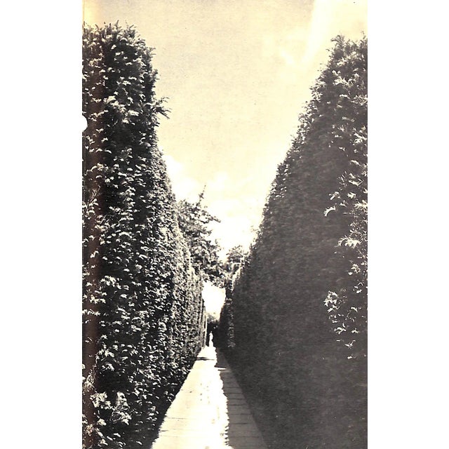 "In Your Garden" 1952 Sackville-West, Vita For Sale - Image 9 of 11