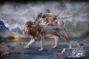 The Golden Age by Marcin Owczarek | Photography on Fine Art Hahnemühle Lion with various animals.