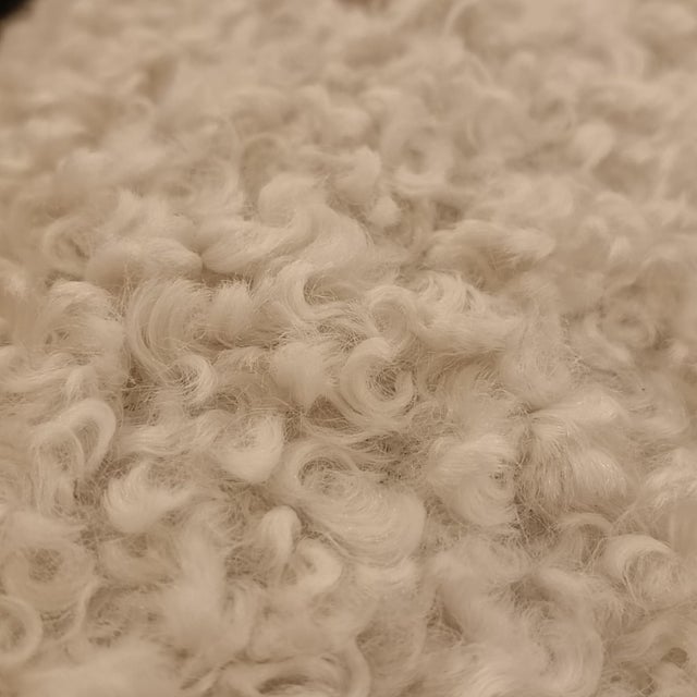 Set of Bouclé Armchairs by Paolo Buffa, Italy, 1950s For Sale - Image 6 of 8