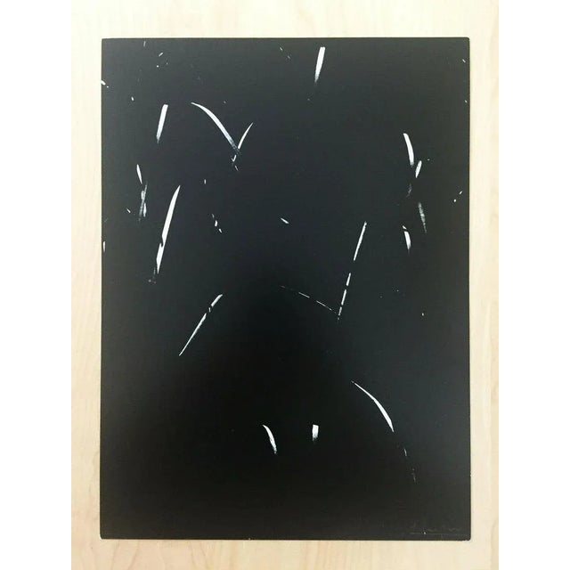 Lucien clergue secret camargue, 1976 2 x vintage heliogravures (rotogravure) on heavy semi-glossy paper hand signed in...