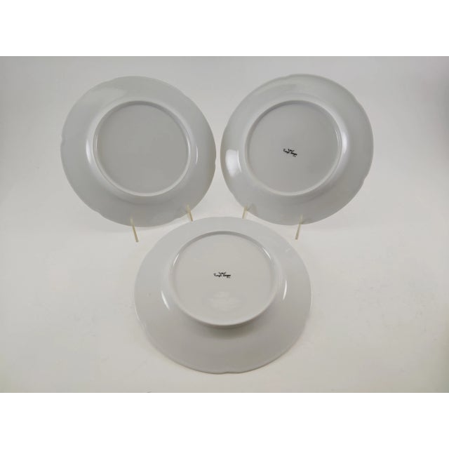 1970s New 1970’s Vintage/New Royal Limoges La Fayette White European Dinner Service- 44 Pieces For Sale - Image 5 of 16