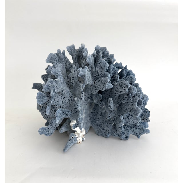 Chinoiserie Natural Blue Coral Specimen For Sale - Image 3 of 7