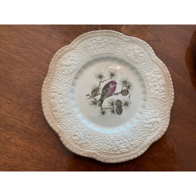 Mid 20th Century Royal Cauldon Bristol Ironstone “Aviary” Bird Plates by h.a. Pausch, Set of 8, Mid-Century For Sale - Image 5 of 13