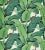 Contemporary Hinson for The House of Scalamandré Hinson Palm Wallcovering, Green For Sale - Image 3 of 3