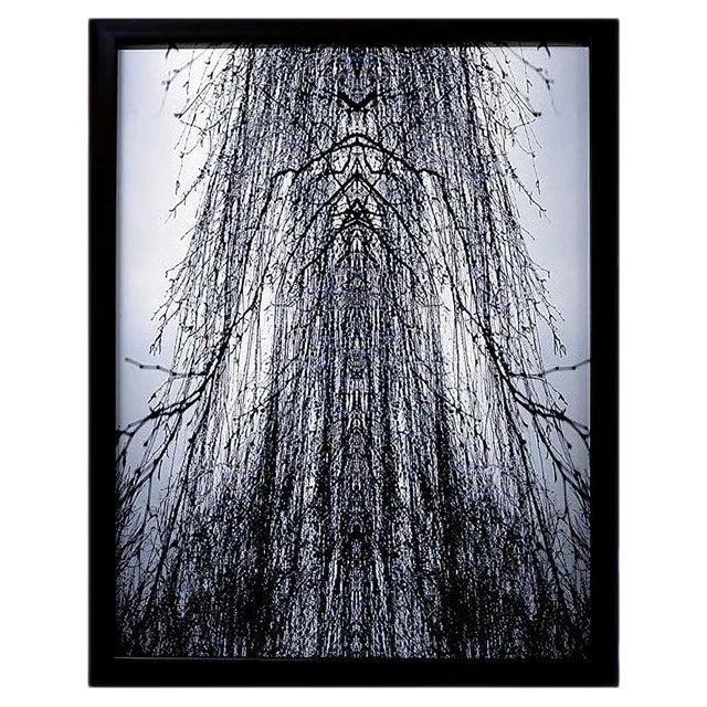 Cathedral - Original Photograph by Claudio Palmieri - 2006 2006 For Sale