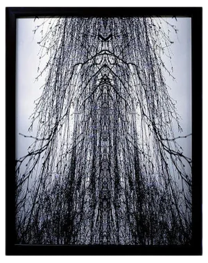 Cathedral - Original Photograph by Claudio Palmieri - 2006 2006