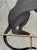 Chinese Tole Monkey with Chinese Export Bowl Towel Rack For Sale - Image 3 of 12