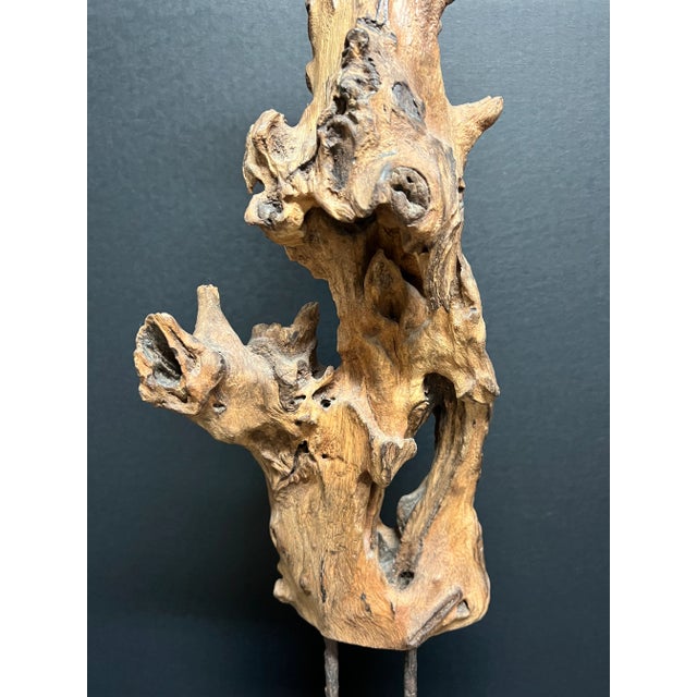 Late 20th Century Vintage Natural Abstract Driftwood Art Sculpture on Wooden Base For Sale - Image 5 of 12