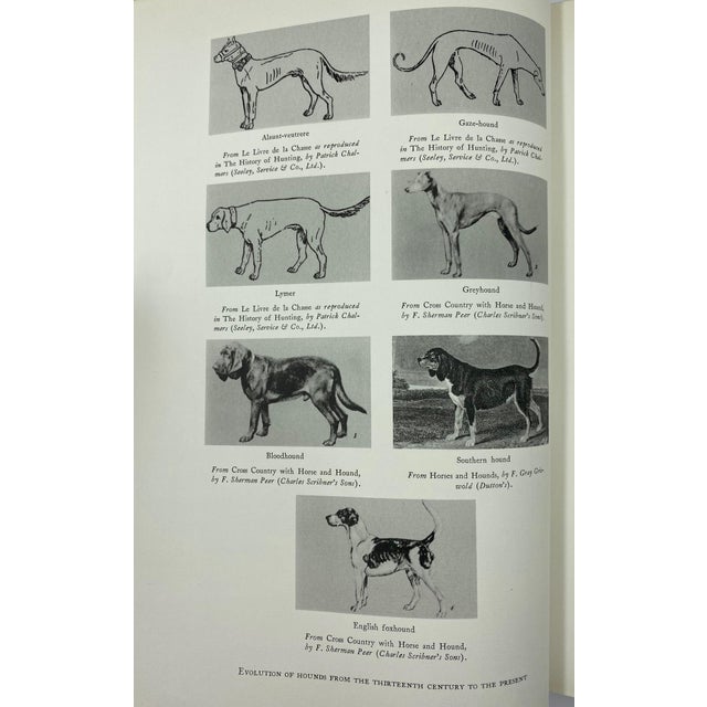 The Story of American Foxhunting by J. Blan Van Urk 1941 First Edition For Sale - Image 10 of 17