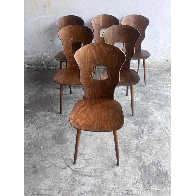 Plywood Dining Chairs from Baumann, France, 1950s, Set of 6 For Sale - Image 9 of 9