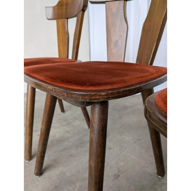 Vintage Tyrolean Dining Chairs with Red Fabric Seats, 1970s, Set of 4 For Sale - Image 14 of 18