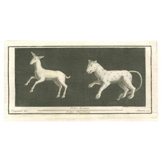 Vincenzo Campana, Animals Pompeian Fresco, 18th Century, Etching For Sale