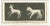 Vincenzo Campana, Animals Pompeian Fresco, 18th Century, Etching For Sale