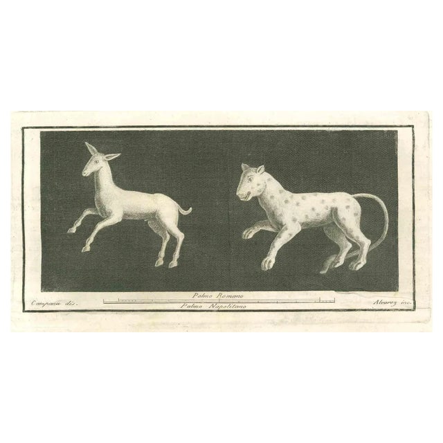 Vincenzo Campana, Animals Pompeian Fresco, Etching, 18th Century For Sale