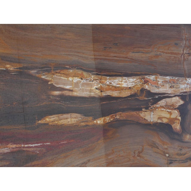 Epoxy Coated Petrified Wood Coffee Table by Xyleia Petrified Wood For Sale - Image 4 of 7