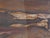 Epoxy Coated Petrified Wood Coffee Table by Xyleia Petrified Wood For Sale - Image 4 of 7