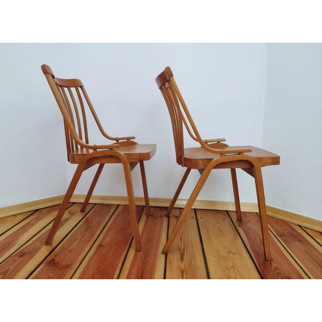 Wood Set of Czechoslovakian Chairs by L. Volák for Ton, 1960s For Sale - Image 7 of 16