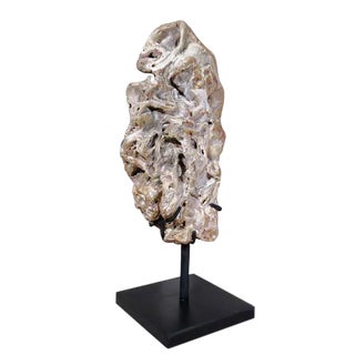 Organic Modern Fossil Scholar Stone For Sale