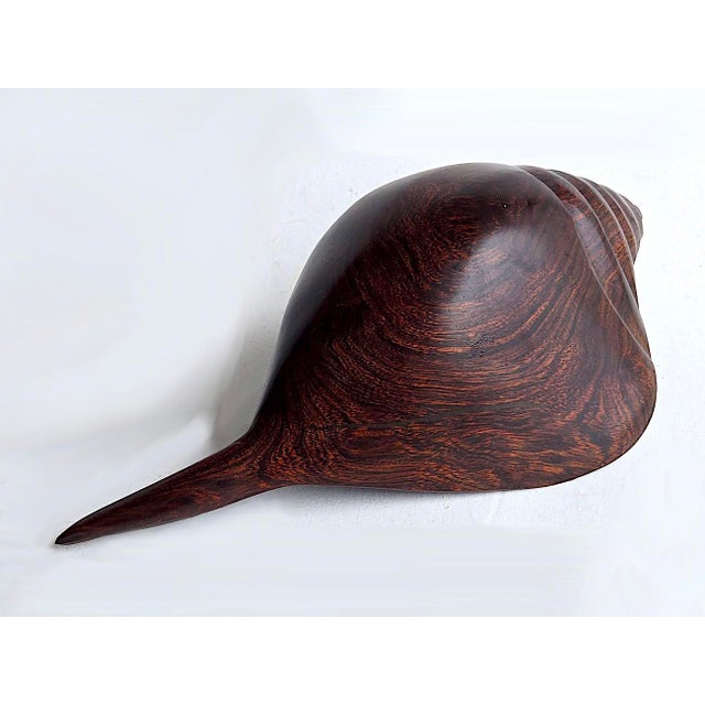 Vintage Hand Carved Ironwood Conch Shell For Sale - Image 16 of 17